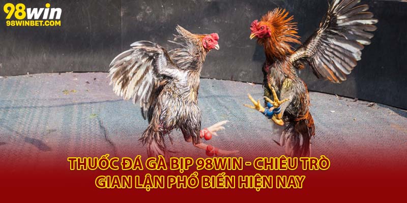 Thuốc Đá Gà Bịp 98win - Giải Mã Trò Mánh Khóe Trong Đá Gà 2 Thuốc đá gà bịp 98Win - Chiêu trò gian lận phổ biến hiện nay