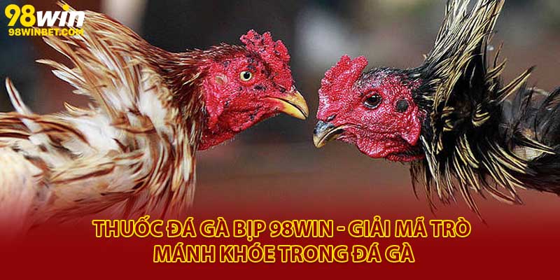 Thuốc Đá Gà Bịp 98win - Giải Mã Trò Mánh Khóe Trong Đá Gà