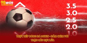 Trực Tiếp Bóng Đá 98win - Đắm Chìm Với Trận Cầu Rực Lửa